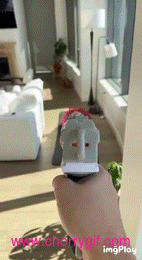 Funny Gif