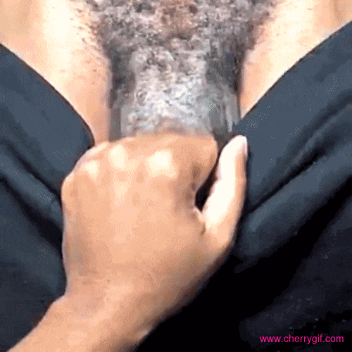 Huge cock Gif