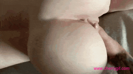 Stephanie Vixen Gif